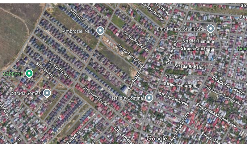 Pantelimon - Branduselor